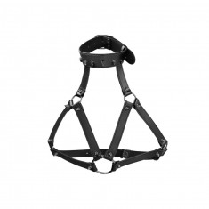 Harness with Skulls & Spikes - Black